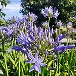 Hébergement de vacances Casa-estaro