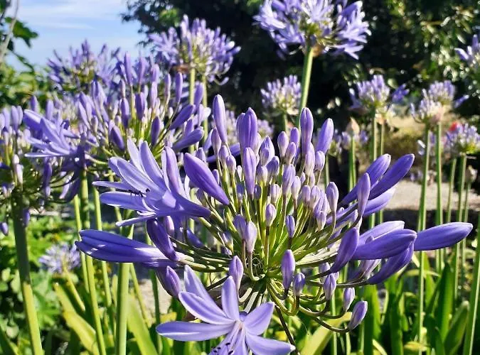 بيت للعطل Casa-estaro